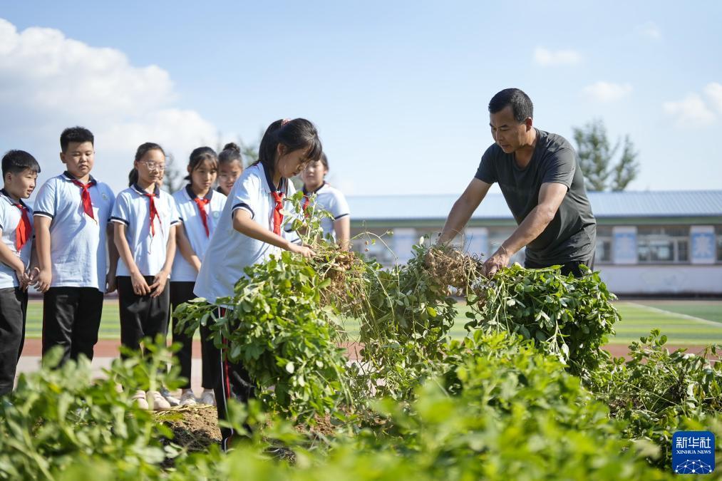 佰利集团陈俊廷